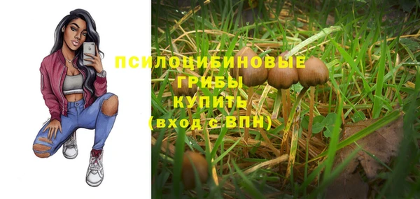 прущая мука Богданович