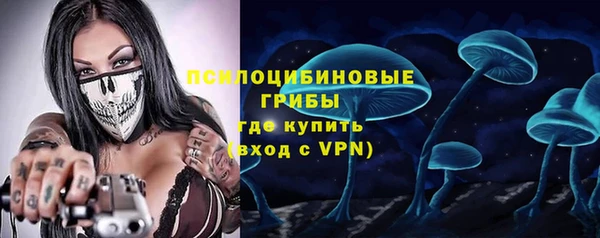 прущая мука Богданович